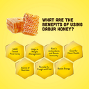 Dabur Honey Squeeze (Buy 1 Get 1 Free) 