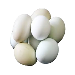 Duck Egg | Thaaravu Mutta 1 Pc
