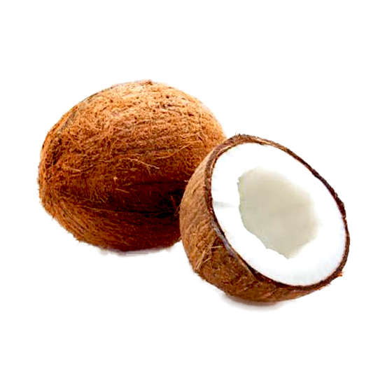 Coconut | Nariyal | Thenga | Medium Size