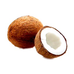 Coconut | Nariyal | Thenga | Medium Size