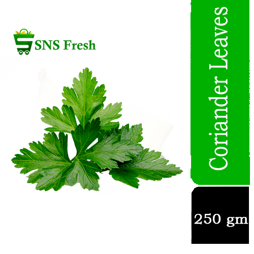SNS Fresh Coriander Leaf