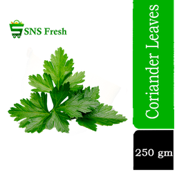SNS Fresh Coriander Leaf