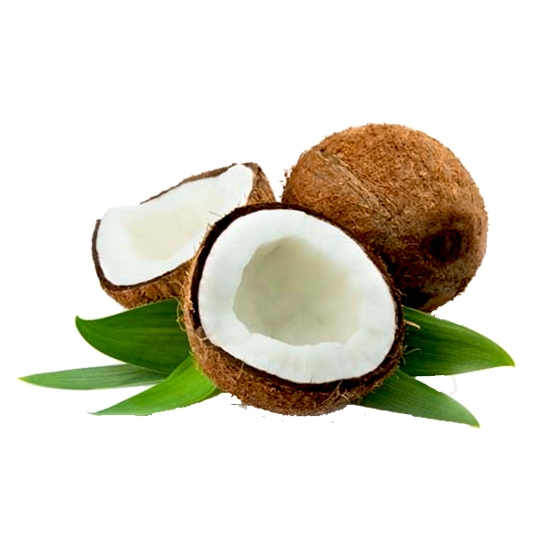 Coconut | Nariyal | Thenga | Small Size