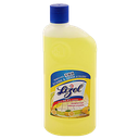 Lizol disinfectant citrus 